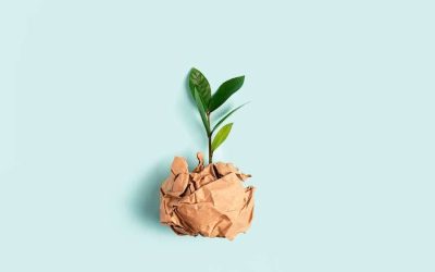 Tekstforfatning: Sådan skriver du levende tekster med tillægsord