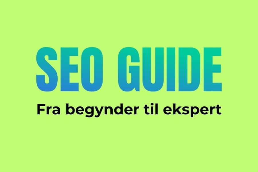 SEO Guide: Fra begynder til ekspert – wayfab